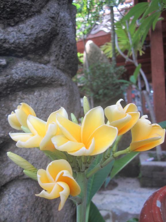 Mini Tiga Homestay Pangandaran Exterior foto